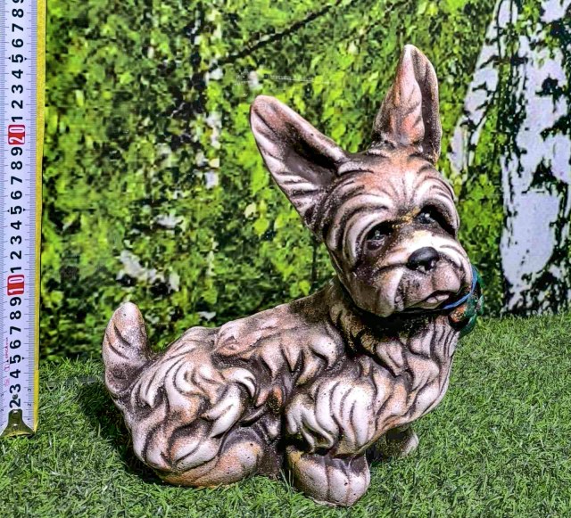 йорк длинноухий1